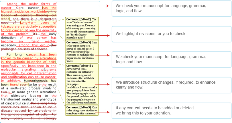 academic editing services