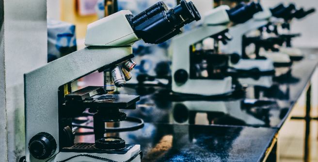 2014 Nobel Prize in Chemistry awarded for innovation in fluorescence microscopy