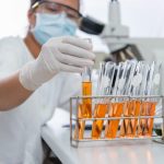 2015 Lasker Awards honor DNA and cancer researchers, medical humanitarian organisation
