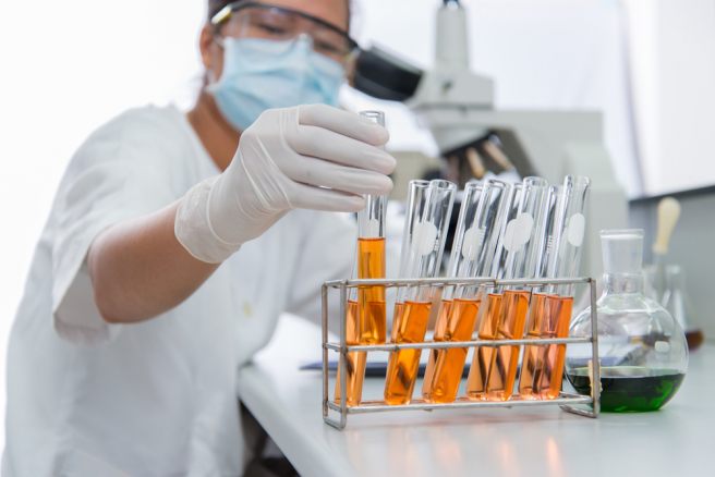  2015 Lasker Awards honor DNA and cancer researchers, medical humanitarian organisation