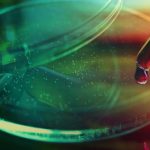 2016 Lasker Awards for work in virology, physiology, and science education