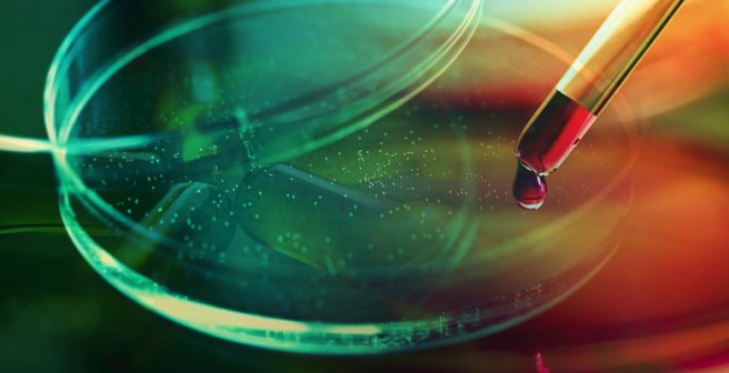 2016 Lasker Awards honor exceptional work in virology, physiology, and science education