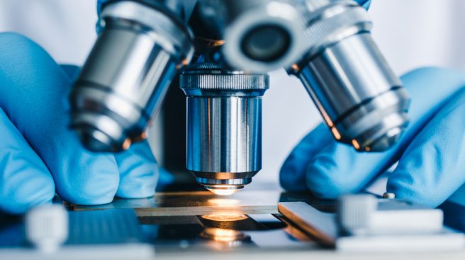 Are centrioles carriers of non-genetic heritable information?