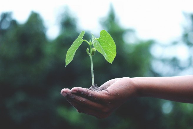 Artificial photosynthesis gets a boost from new catalyst