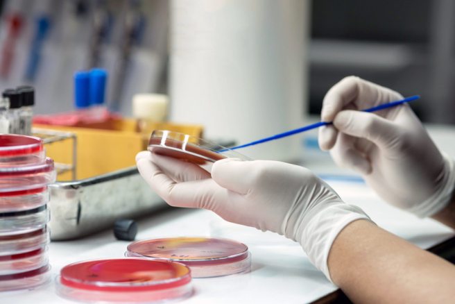Bacteria advertise to recruit new members to their community