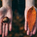 Basic research versus applied science: Which research would you fund?