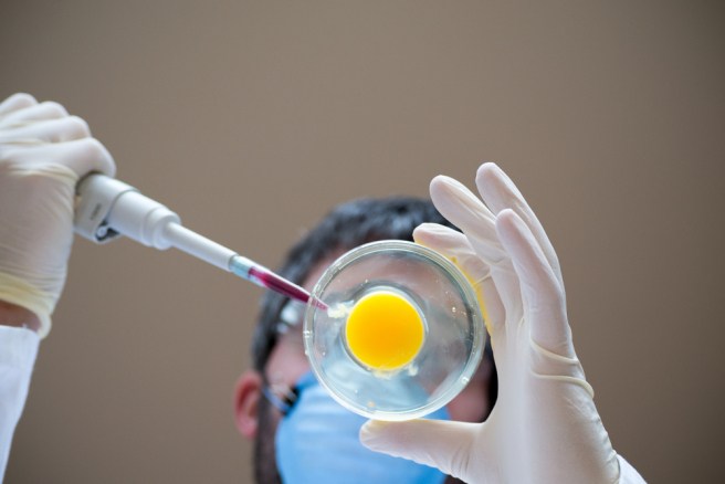  CRISPR gene editing – safe or unsafe?