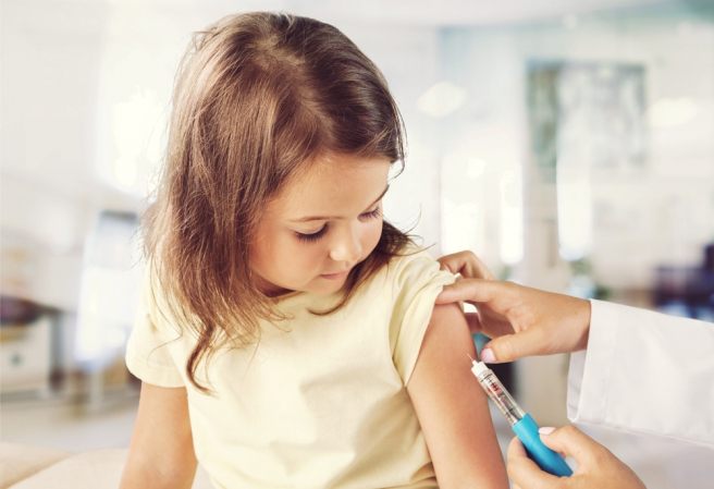 Can E. coli be used to transport vaccines?