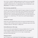 Methods section of a research paper