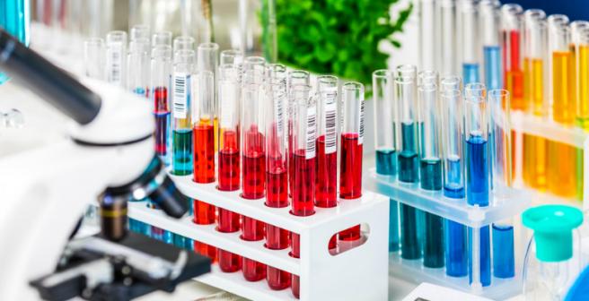 Commonly found synthethic chemicals disrupt physiological processes