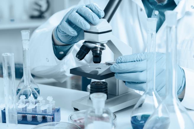Do immune cells assist in tumor growth?