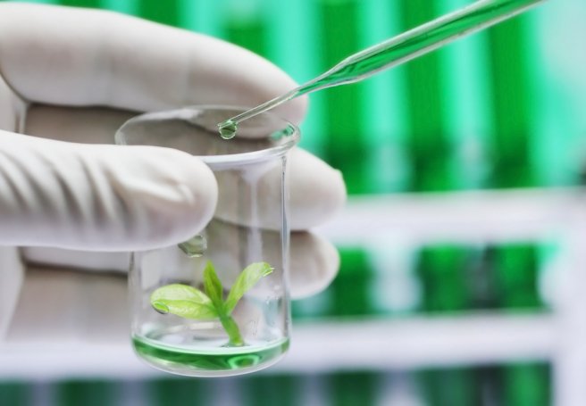 A revolutionary new method to cure diseases