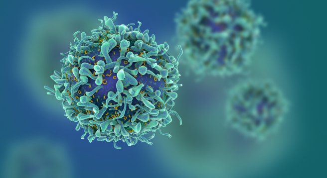Aging tumor cells may be effective in treating cancer