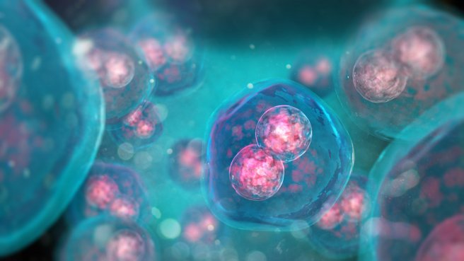 Does antiviral RNA interference exist in mammalian cells?