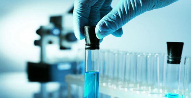 First drafts of human proteome produced