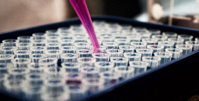 First semi-synthetic organism with 'alien' DNA created