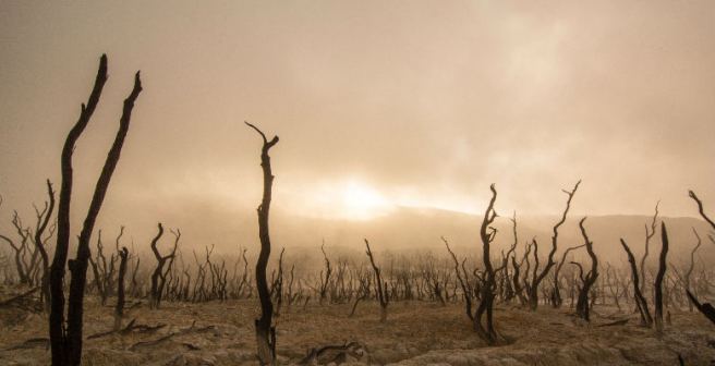  Global warming is definitely not due to natural factors, says study