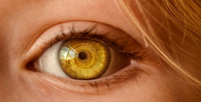 Ebola virus leaves a retinal scar in survivors