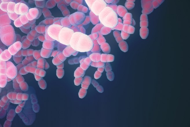 First movie stored in the DNA of living cells
