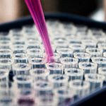 human genome editing discussion