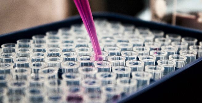 Geneticists to discuss the future of human genome editing in an international summit