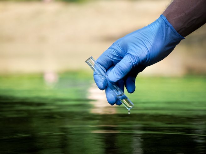 High levels of phosphorus in fertilizers affect water and soil quality