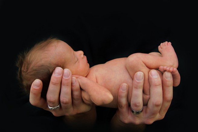 Hope for premature babies as researchers create artificial womb