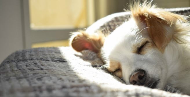How climate change can affect sleep