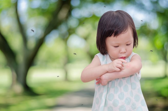  Mosquito bite inflammation helps viruses replicate