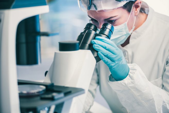 Multiresistent bacteria display behavior akin to hibernation