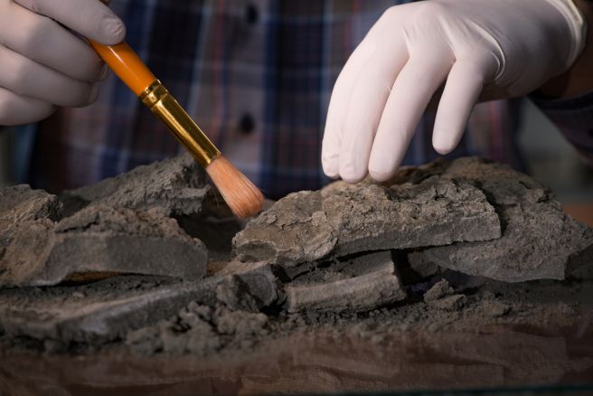New carbon dating device