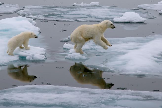 New study asserts climate change is not debatable