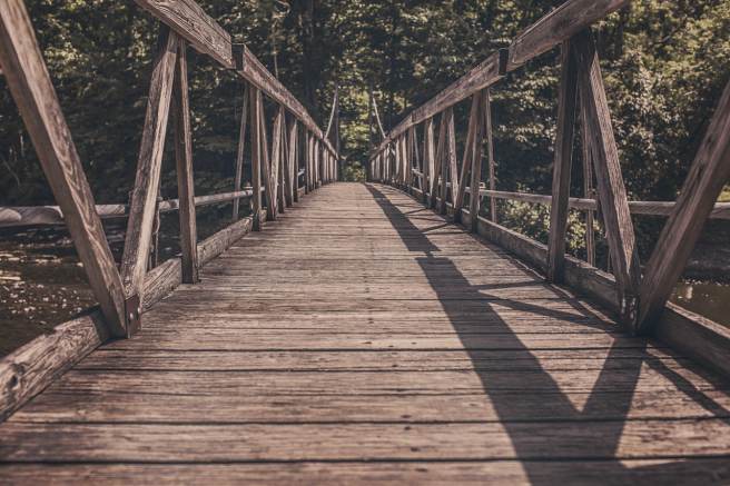 New study casts light on the career outcomes of new doctorates