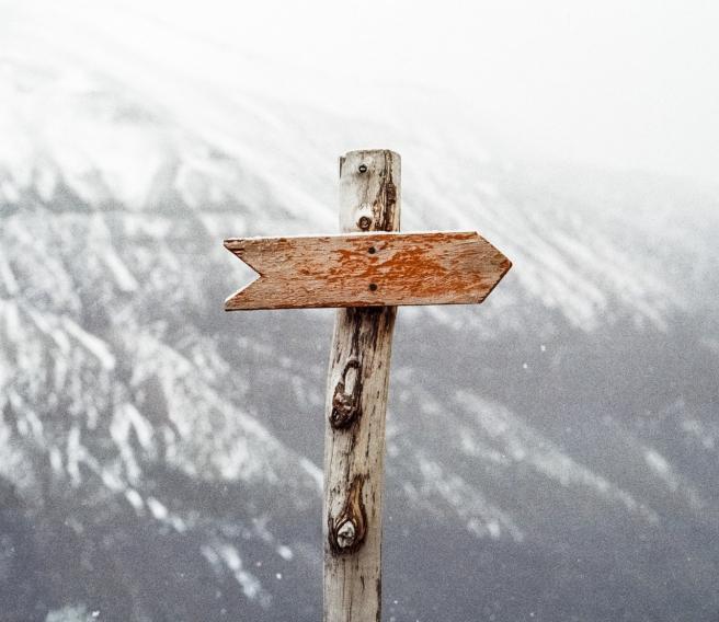 Possible outcomes of the journal peer review process