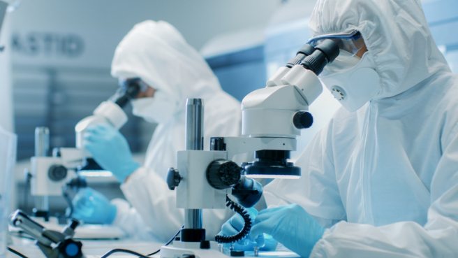 Researchers develop a new approach to observe live cells in action