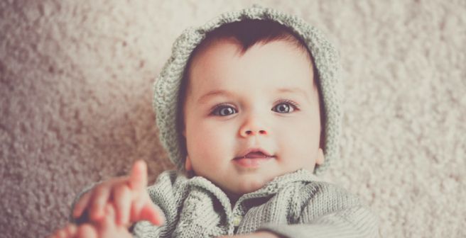 Researchers develop functional 3-D printed ovaries that can produce offspring