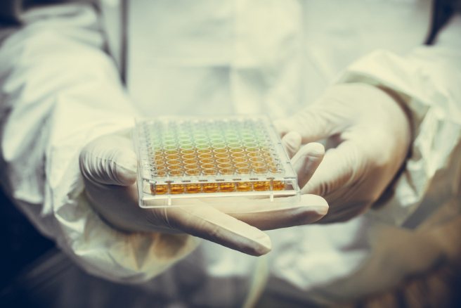 Researchers discover region-selective pluripotent stem cells