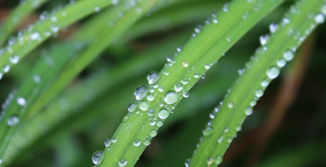 Droplet on solid surface