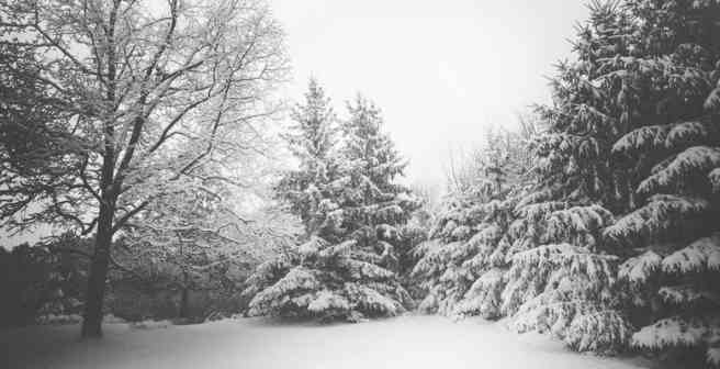 Researchers explain snow's sound absorbing quality