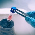 Stem cell research in the limelight