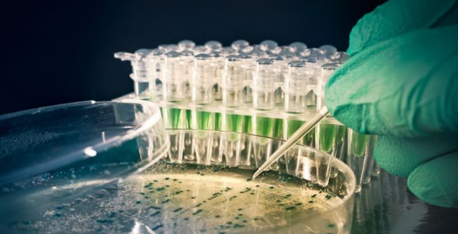 Self-entombing microbes offer hope of finding life on other planets