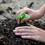 I want to leave a legacy for future generations of researchers