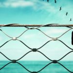 Protect research from predatory publishers