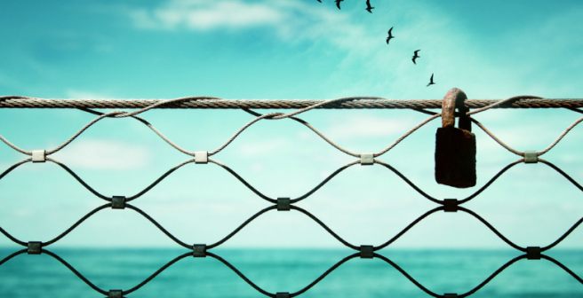 Protect research from predatory publishers