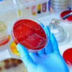 A few points of style related to bacterial nomenclature