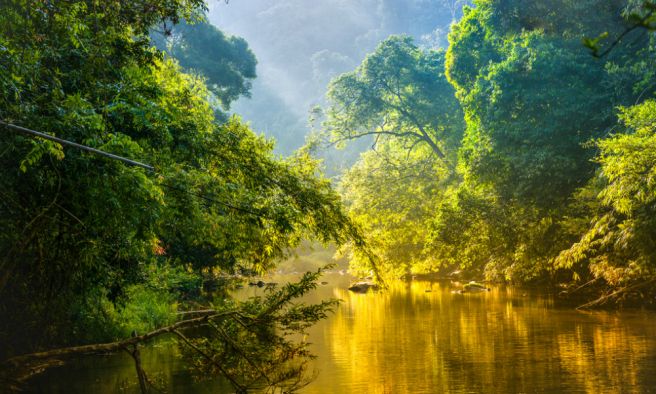 Ten-year long study offers new insights on wildfires in Amazon rainforest