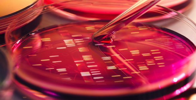 The 2015 Nobel Prize in Chemistry honors DNA repair studies