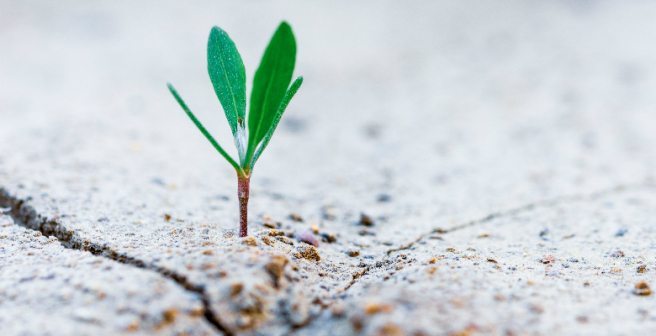 Turning manuscript rejection into a positive experience