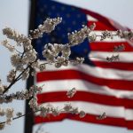 US federal body decides to repeal net neutrality