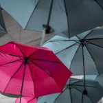 Early career researchers and their involvement in peer review